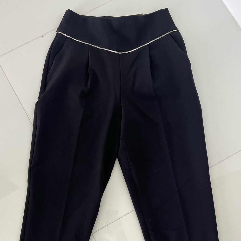 Express dressy pants